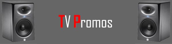 Steve
                  Freedman Voice Talent